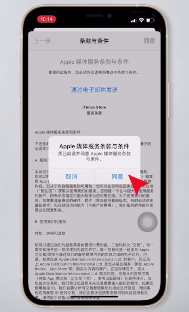 app store怎么变成中文(9)
