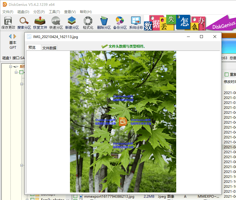 Windows数据恢复软件图文教程 恢复Windows电脑丢失的数据(2)