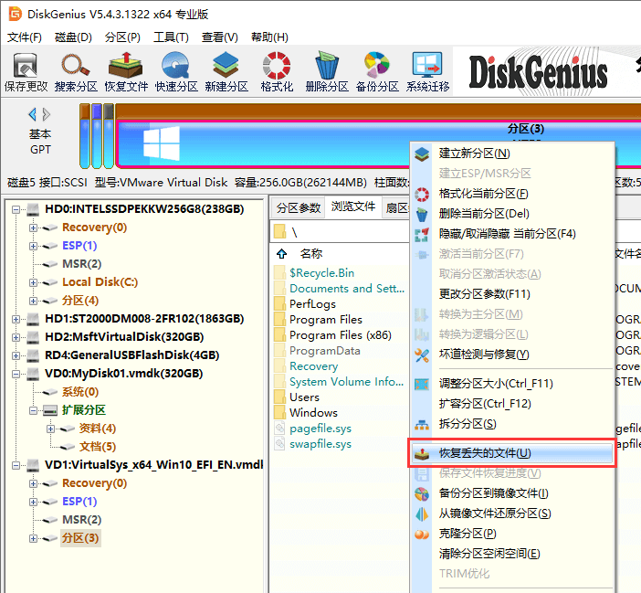 用diskgenius恢复文件 DiskGenius恢复虚拟机中文件(3)