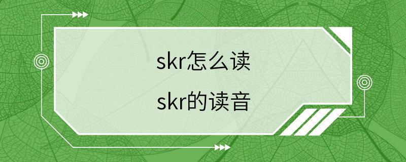 skr怎么读 skr的读音