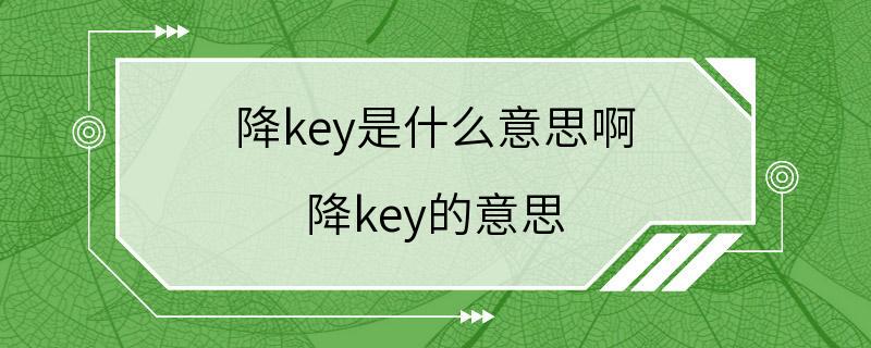 降key是什么意思啊 降key的意思