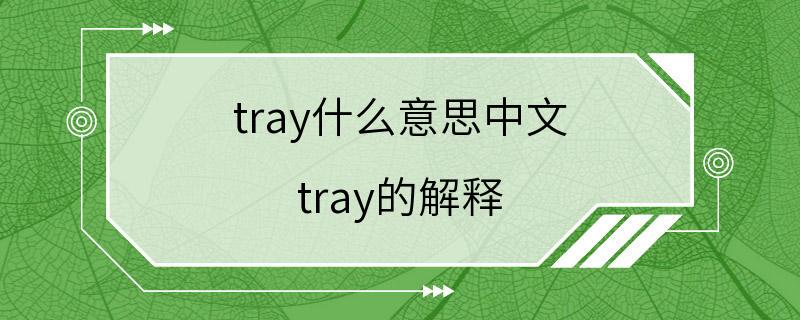 tray什么意思中文 tray的解释