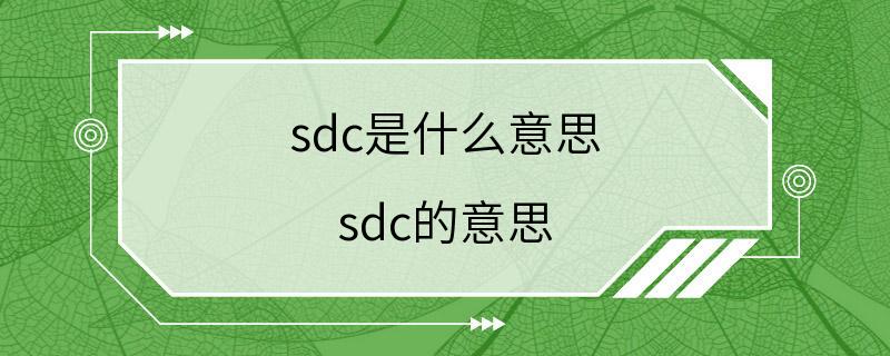 sdc是什么意思 sdc的意思
