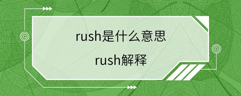 rush是什么意思 rush解释
