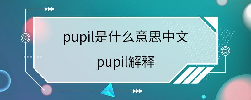 pupil是什么意思中文 pupil解释