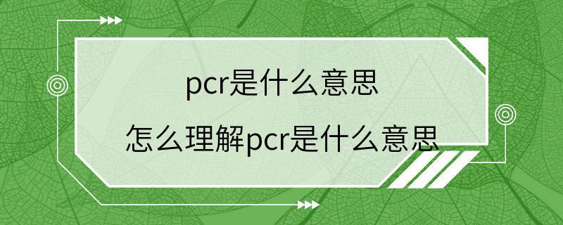 pcr是什么意思 怎么理解pcr是什么意思