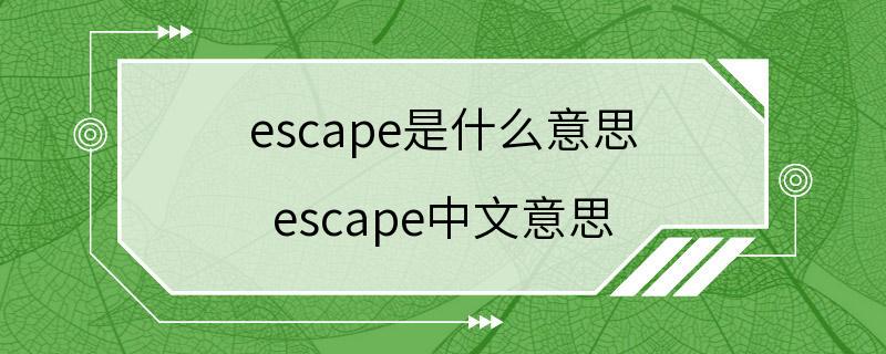 escape是什么意思 escape中文意思