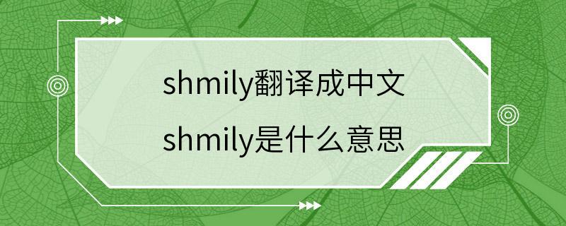 shmily翻译成中文 shmily是什么意思