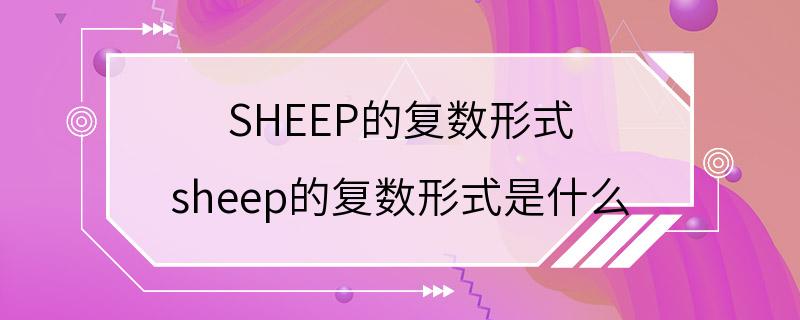 SHEEP的复数形式 sheep的复数形式是什么