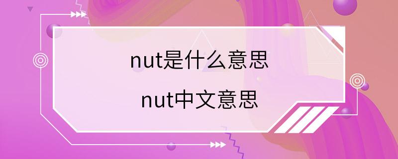 nut是什么意思 nut中文意思