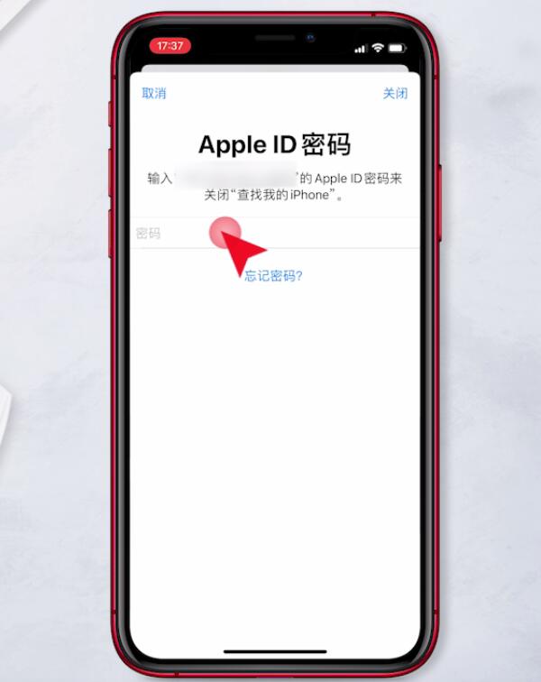 苹果11下载不了app怎么回事(24)