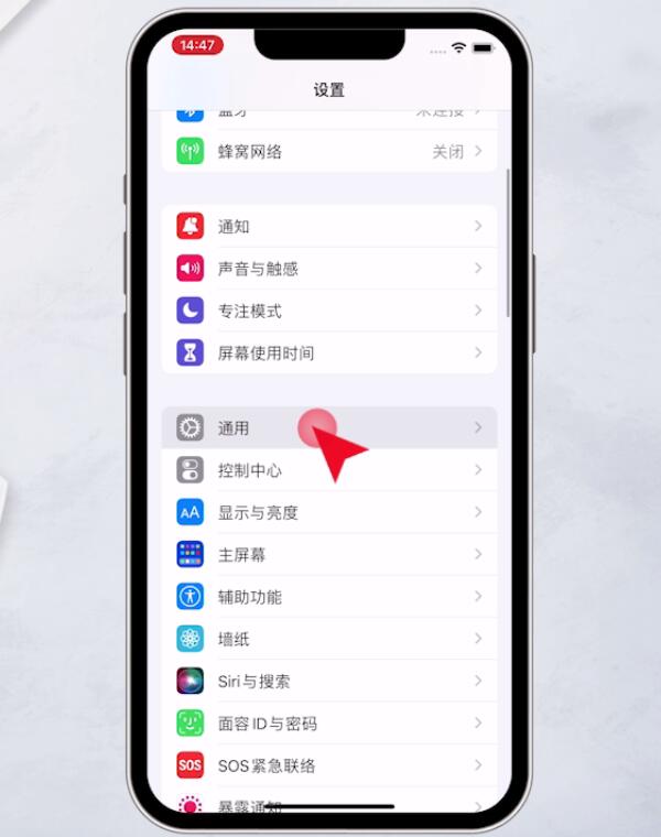 iphone13pro外放有杂音滋滋(15)
