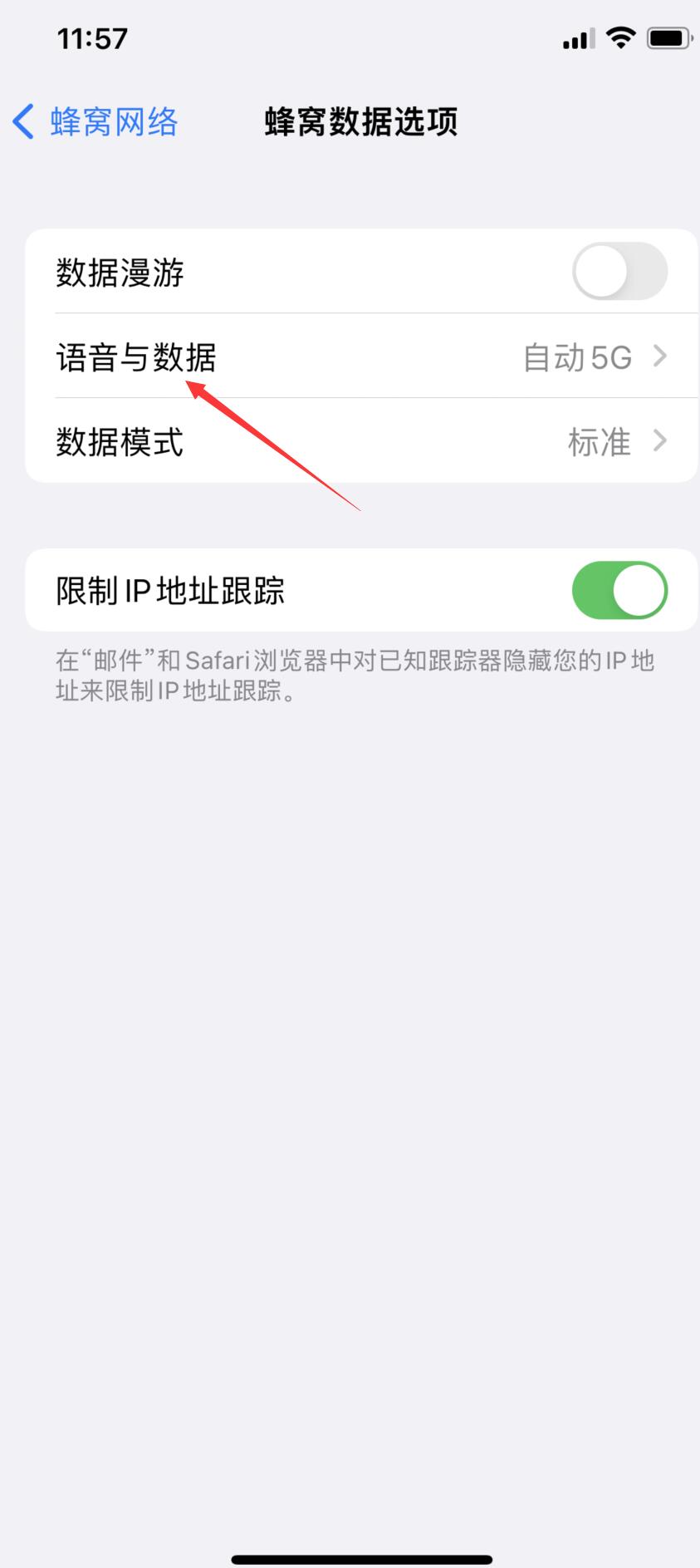 iphone5g怎么切换4g(3)