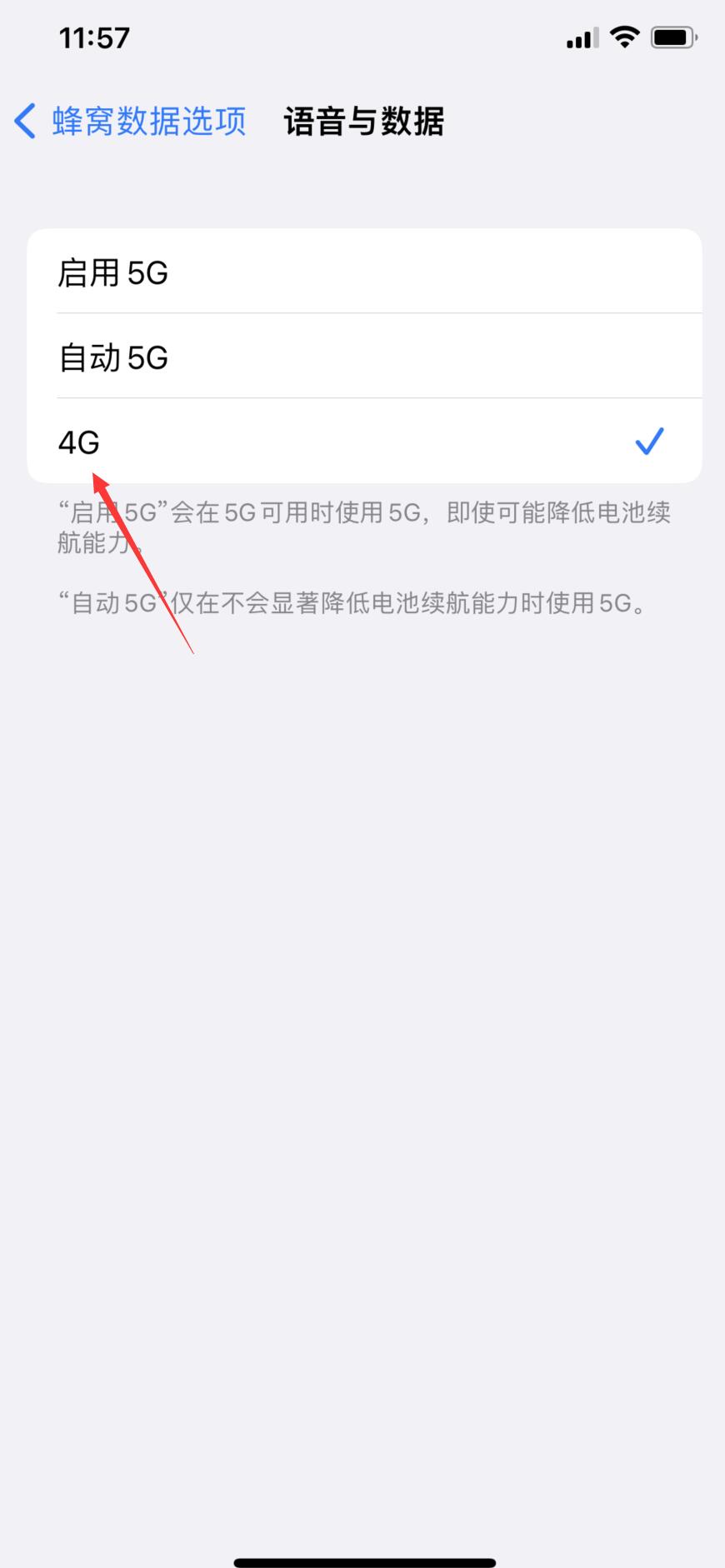 iphone5g怎么切换4g(4)