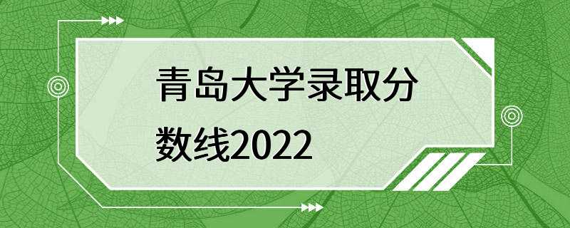 青岛大学录取分数线2022