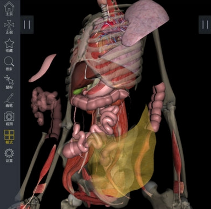 3Dbody解剖软件最新版